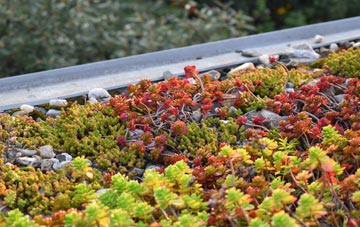 the cost of Bryncethin green roof installation