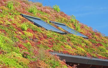 Bryncethin living roof systems