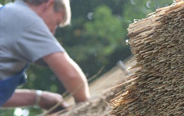 professional Bryncethin thatchers